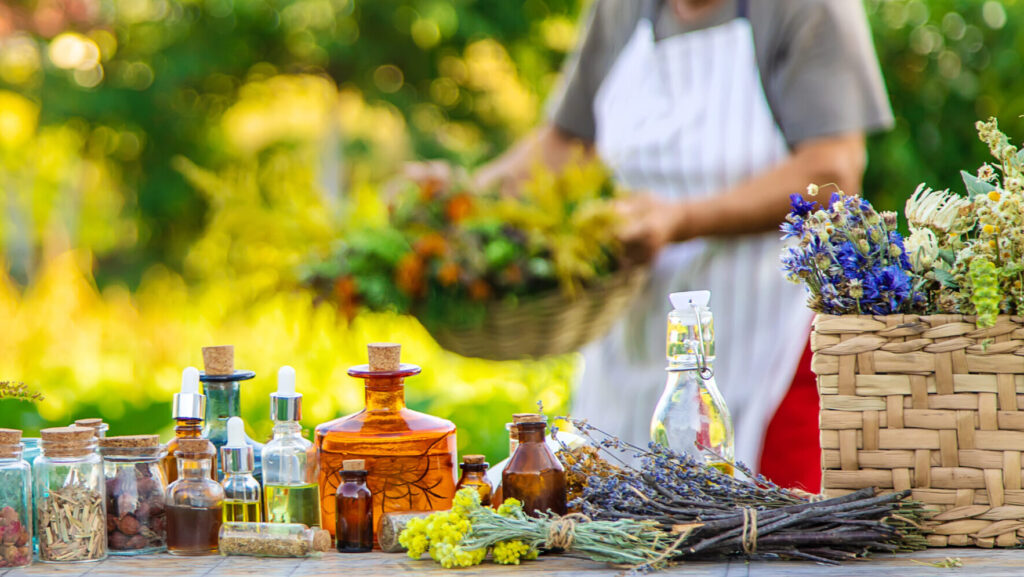 Grandmother makes tinctures from medicinal herbs. Selective focus. People.