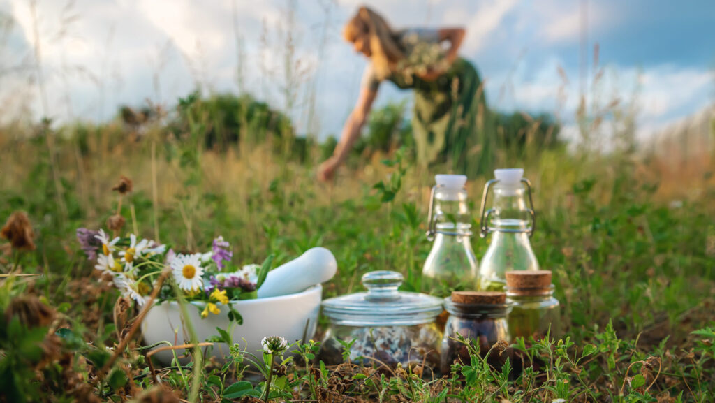 The woman collects medicinal herbs. Selective focus. Nature.